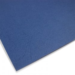 Carton texturat A4 250g/mp