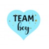 28 etichete Gender Reveal - TEAM BOY
