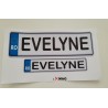 Sticker numar inmatriculare auto