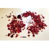 Con din hârtie pentru confetti, personalizat