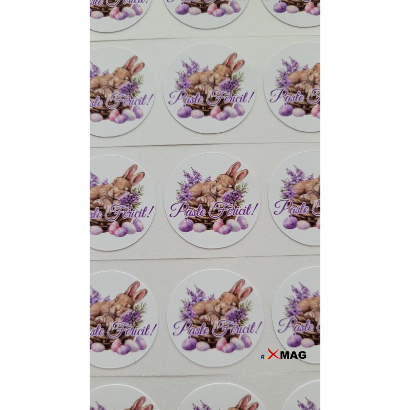 11 Stickere Paste fericit 2,3 CM