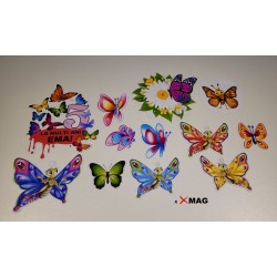 Set Toppere fluturi