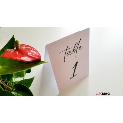 Numar de masa alb / verde