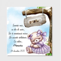 Marturie plantabila botez -...