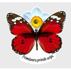 12 Cartonase pentru...