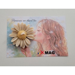 Cartonas baza pentru...