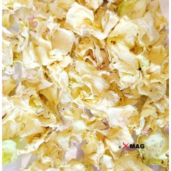 Con din hârtie pentru confetti, personalizat